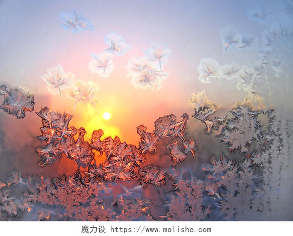 自然风景唯美阳光照耀下窗户玻璃上的霜冻霜花